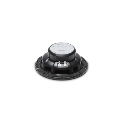 Rockford Fosgate P165-SE
