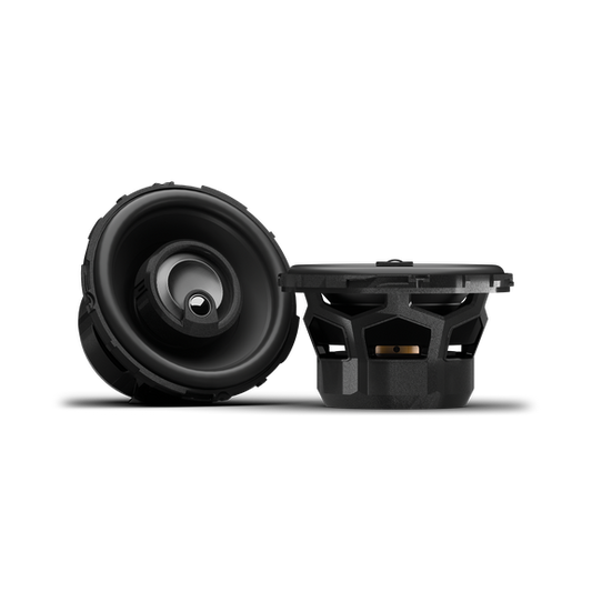 Rockford Fosgate P1V2-25