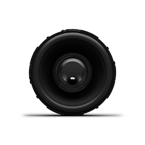 Rockford Fosgate P1V2-25