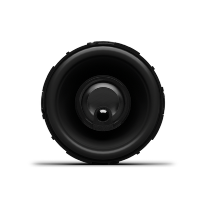 Rockford Fosgate P1V2-25