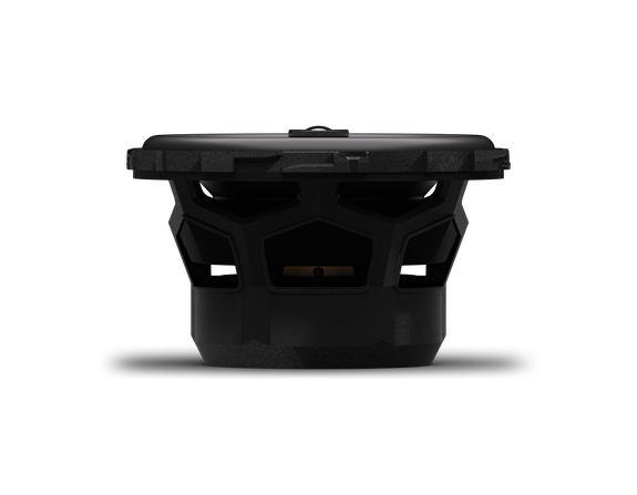 Rockford Fosgate P1V2-25