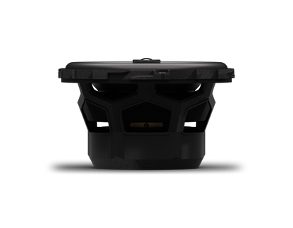 Rockford Fosgate P1V2-25