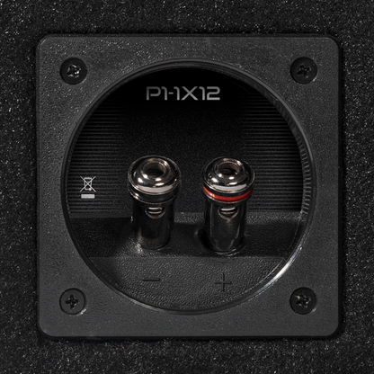 Rockford Fosgate P2-1X12