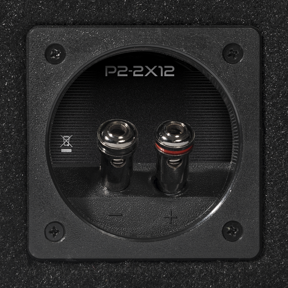 Rockford Fosgate Punch P1-2X12