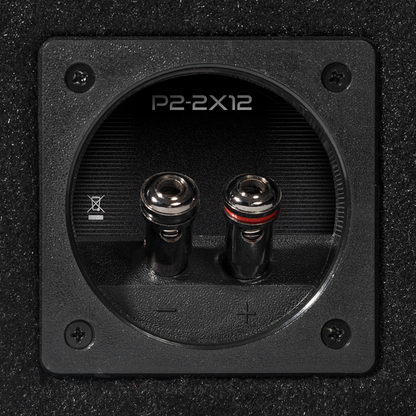 Rockford Fosgate Punch P1-2X12