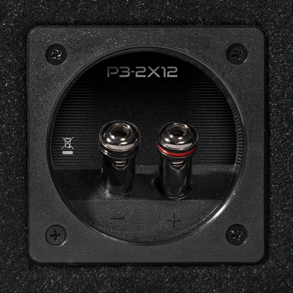 Rockford Fosgate Punch P3-2X12