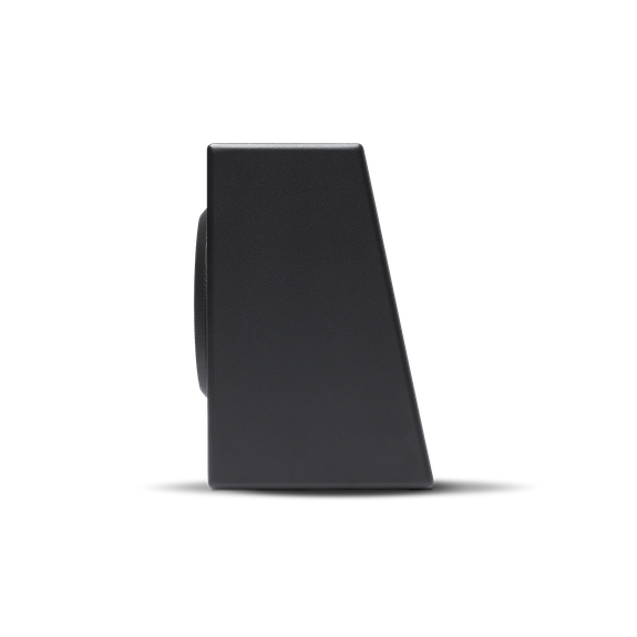 Rockford Fosgate Punch P300-10