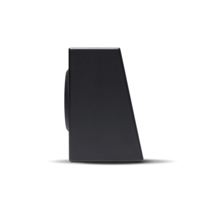 Rockford Fosgate Punch P300-10