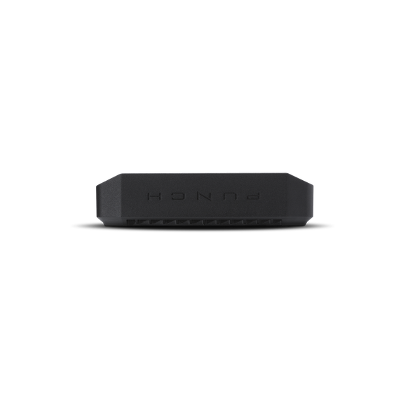 Rockford Fosgate Punch P300X1
