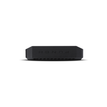 Rockford Fosgate Punch P300X1