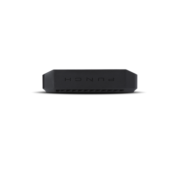 Rockford Fosgate Punch P300X2