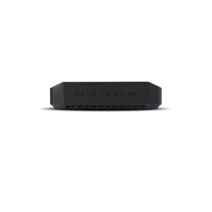 Rockford Fosgate Punch P300X2