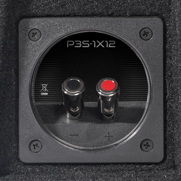Rockford Fosgate R2-2X12