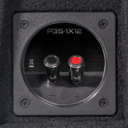 Rockford Fosgate R2-2X12