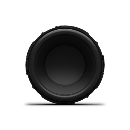 Rockford Fosgate P3V2-25