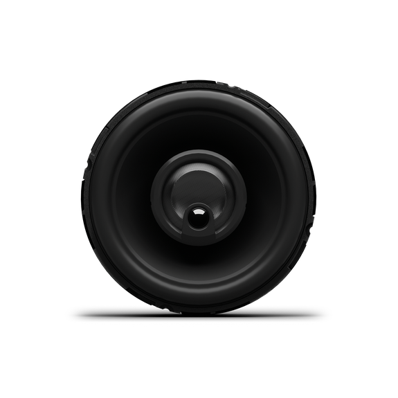 Rockford Fosgate P3V2-69C3