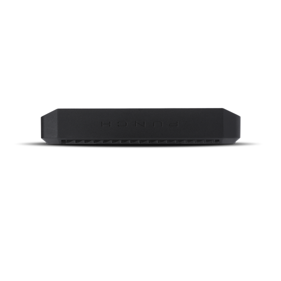 Rockford Fosgate Punch P500X2