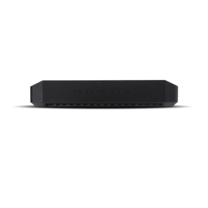 Rockford Fosgate Punch P500X2