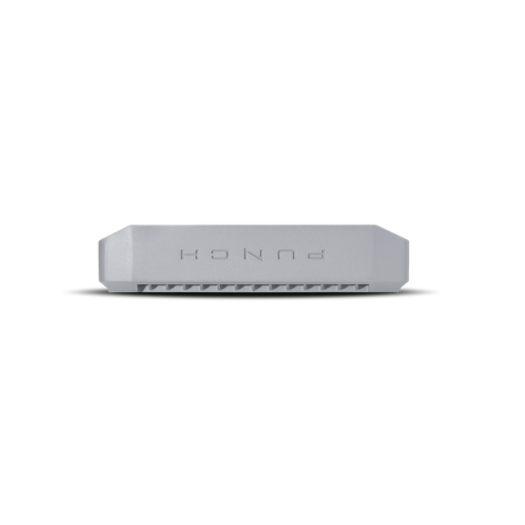 Rockford Fosgate PM500X1BD