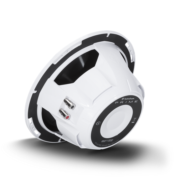 Rockford fosgate RM110D2