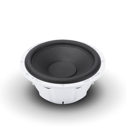 Rockford fosgate RM110D2