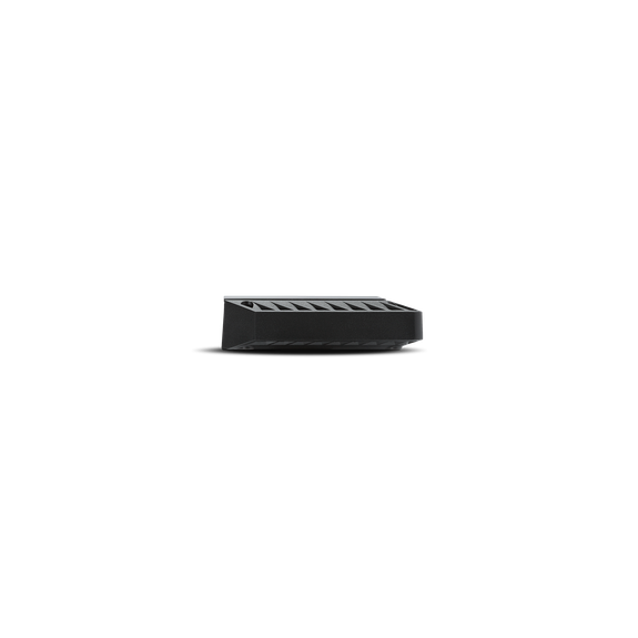 Rockford Fosgate T1000-1bdCP