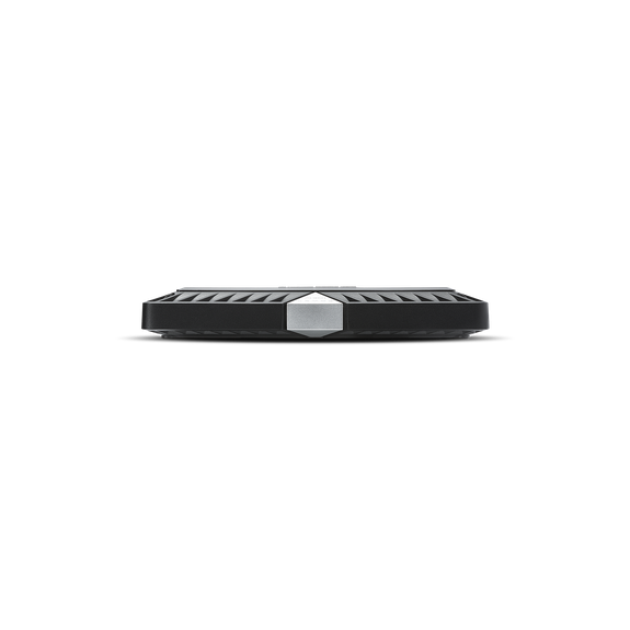 Rockford Fosgate Power T1500-1BDCP