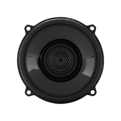 Rockford Fosgate TMS5