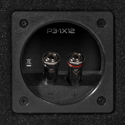 Rockford Fosgate P3-1X12